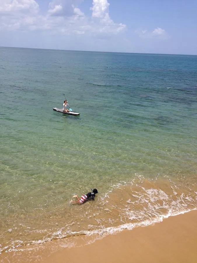 Lemon Tree Ocean Front Hotel Rincon