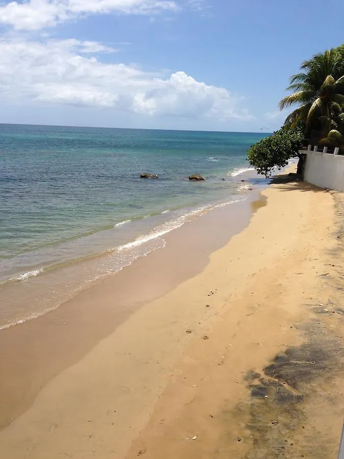 Lemon Tree Ocean Front Hotel Rincon 0*,