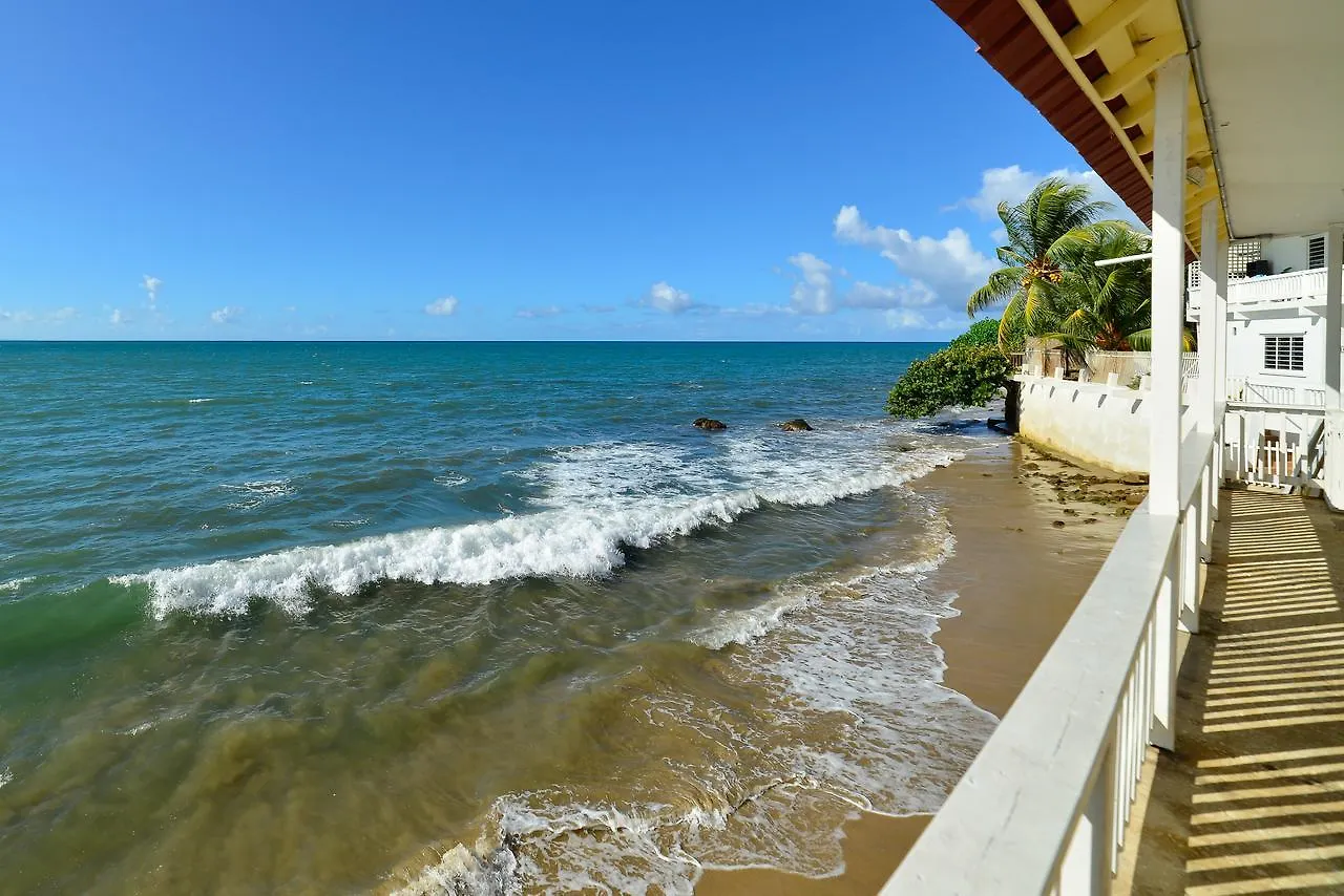 Lemon Tree Ocean Front Hotel Rincon