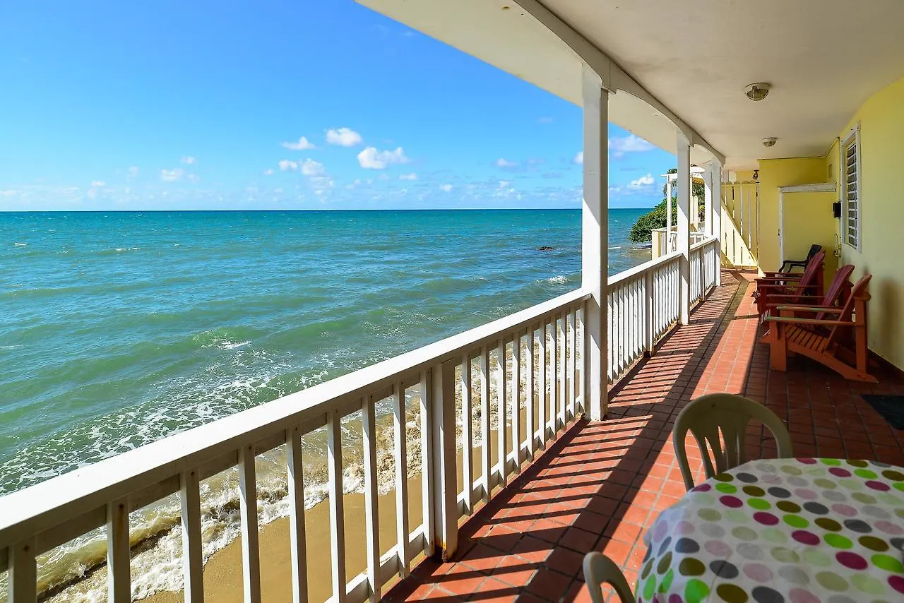Lemon Tree Ocean Front Hotel Rincon 0*,  Puerto Rico